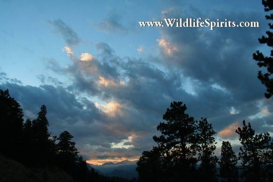 Click Picture to send as an  E-PostCard 56k 550x367